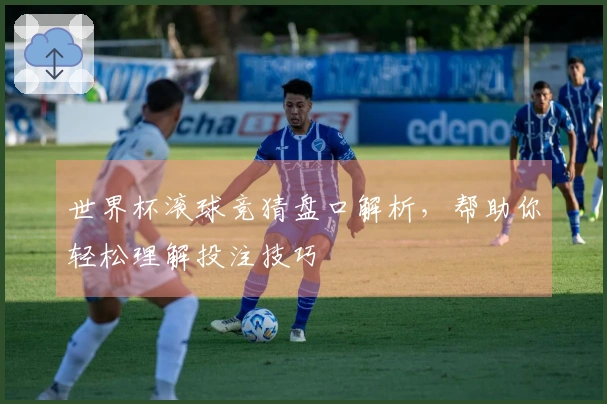 世界杯滚球竞猜盘口解析，帮助你轻松理解投注技巧