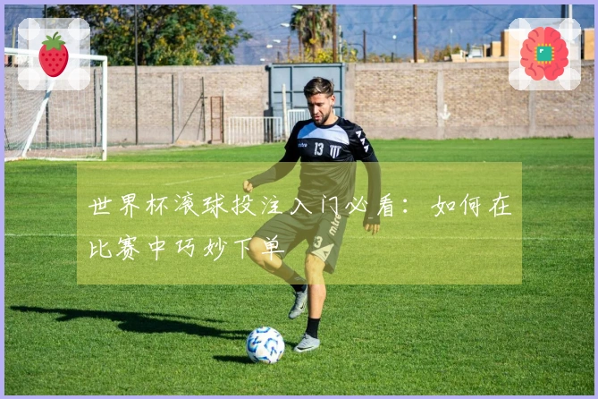 世界杯滚球投注入门必看：如何在比赛中巧妙下单