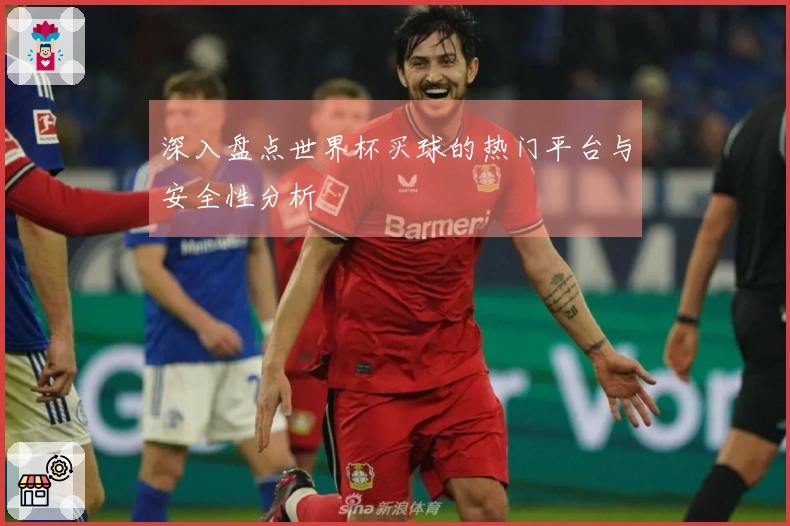 深入盘点世界杯买球的热门平台与安全性分析