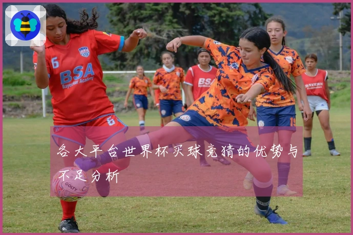 各大平台世界杯买球竞猜的优势与不足分析