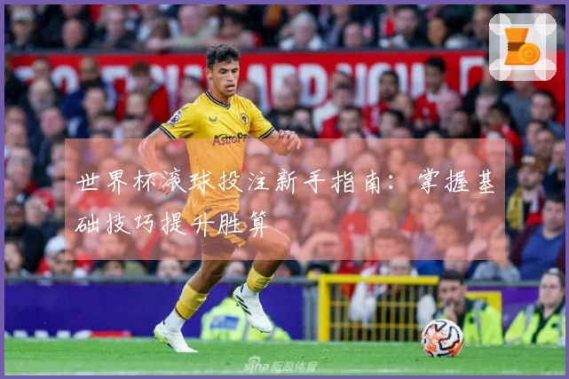 世界杯滚球投注新手指南：掌握基础技巧提升胜算