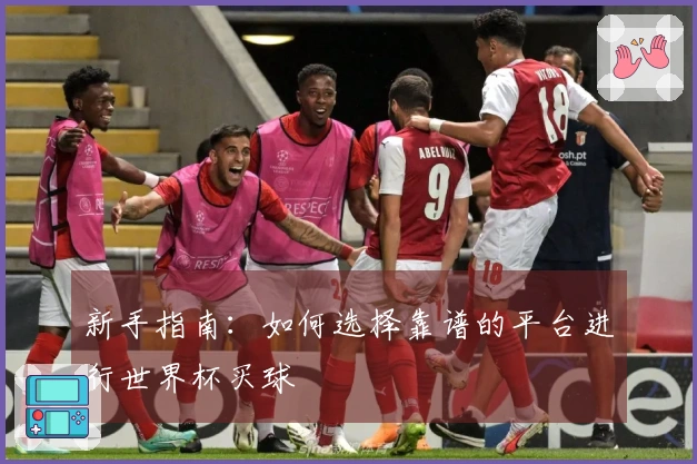 新手指南:如何选择靠谱的平台进行世界杯买球