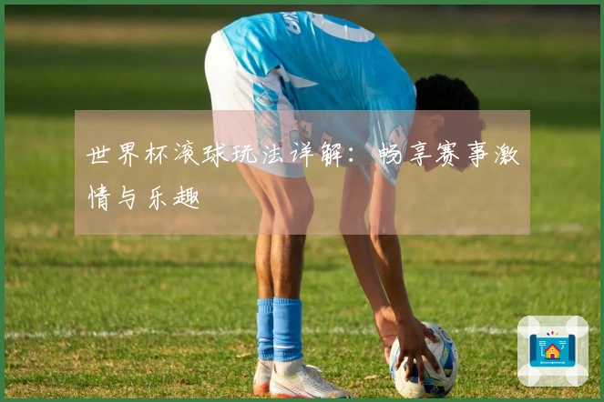 世界杯滚球玩法详解：畅享赛事激情与乐趣