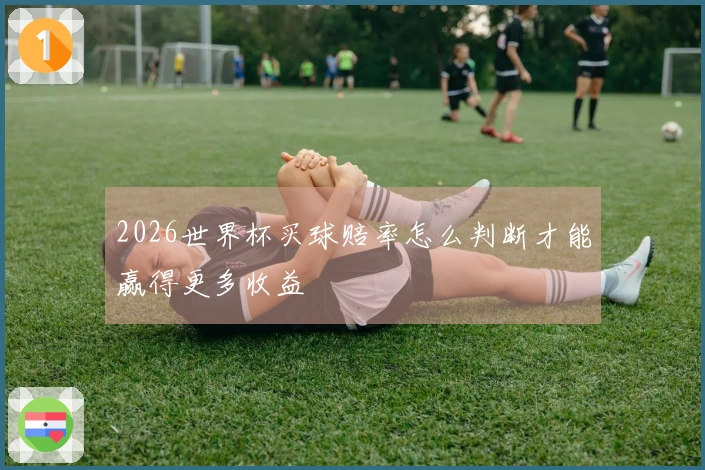 2026世界杯买球赔率怎么判断才能赢得更多收益