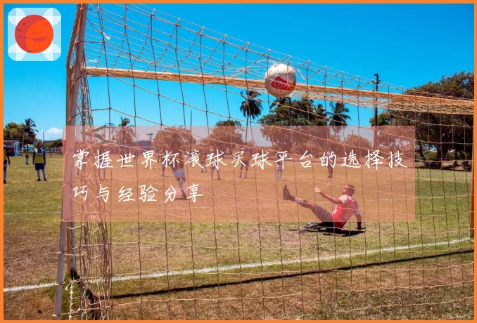 掌握世界杯滚球买球平台的选择技巧与经验分享