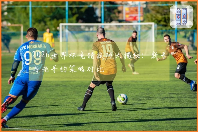 2026世界杯竞猜技巧大揭秘：新手与老手的策略对比