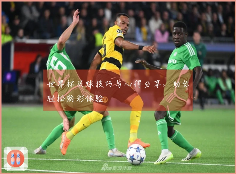 世界杯买球技巧与心得分享，助你轻松购彩体验
