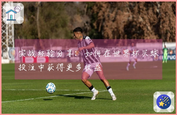 实战经验分享：如何在世界杯买球投注中获得更多收益