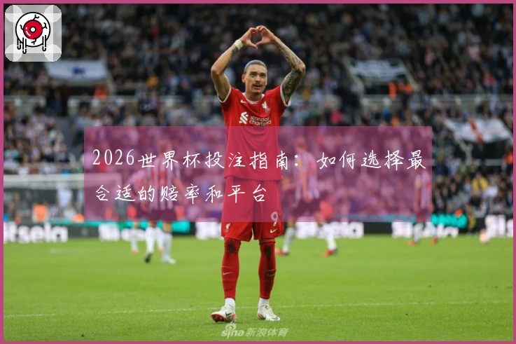 2026世界杯投注指南：如何选择最合适的赔率和平台
