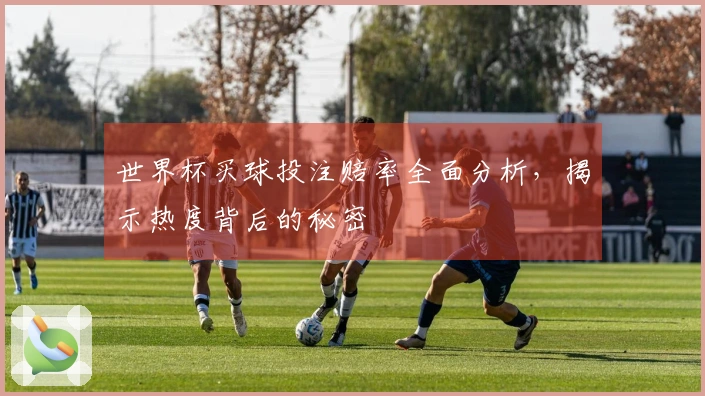 世界杯买球投注赔率全面分析，揭示热度背后的秘密