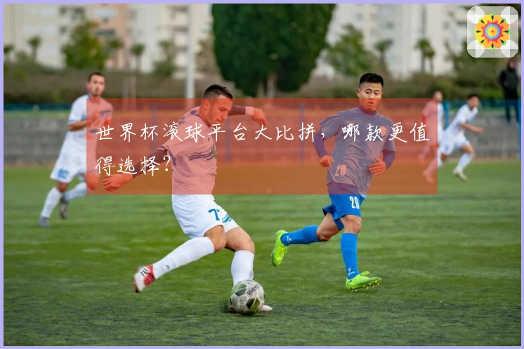 世界杯滚球平台大比拼，哪款更值得选择？
