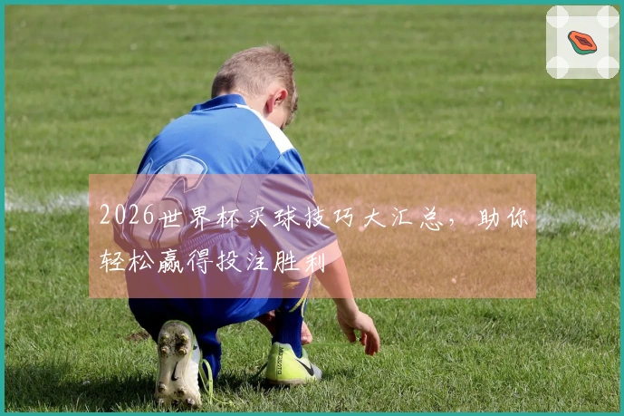 2026世界杯买球技巧大汇总，助你轻松赢得投注胜利