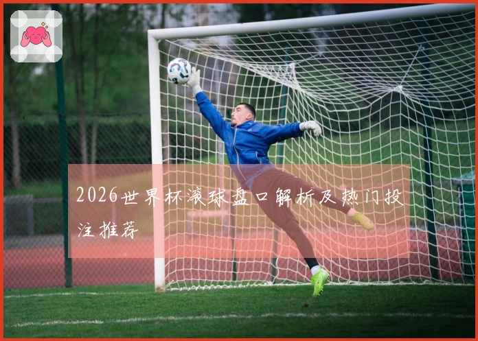 2026世界杯滚球盘口解析及热门投注推荐