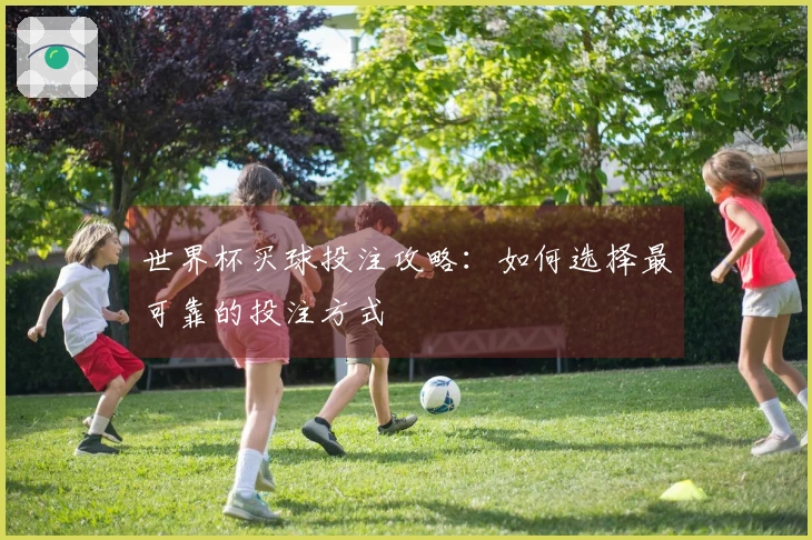 世界杯买球投注攻略：如何选择最可靠的投注方式
