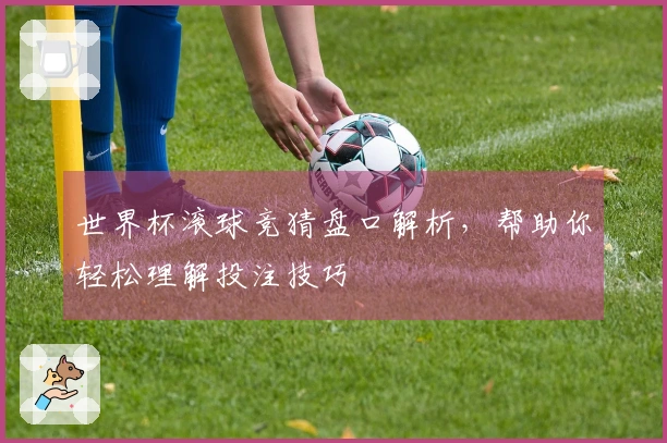世界杯滚球竞猜盘口解析，帮助你轻松理解投注技巧