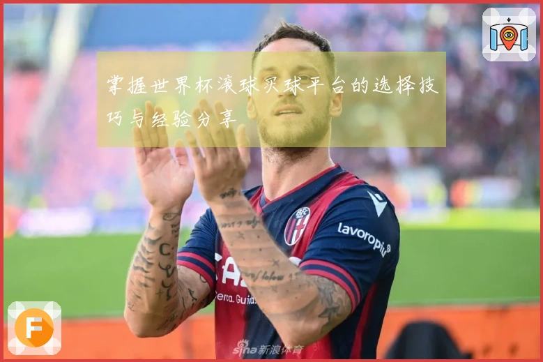 掌握世界杯滚球买球平台的选择技巧与经验分享